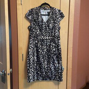 Ann Taylor Women's Dress: Size 12